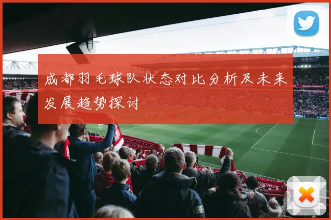 成都羽毛球队状态对比分析及未来发展趋势探讨