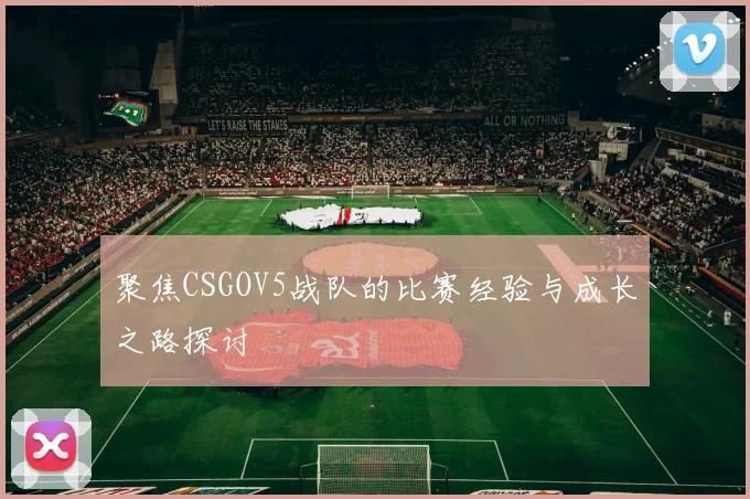 聚焦CSGOV5战队的比赛经验与成长之路探讨